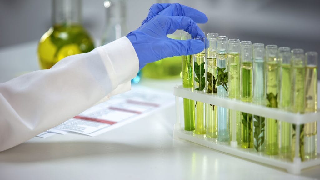 Additional Information kian company agriculture landscape