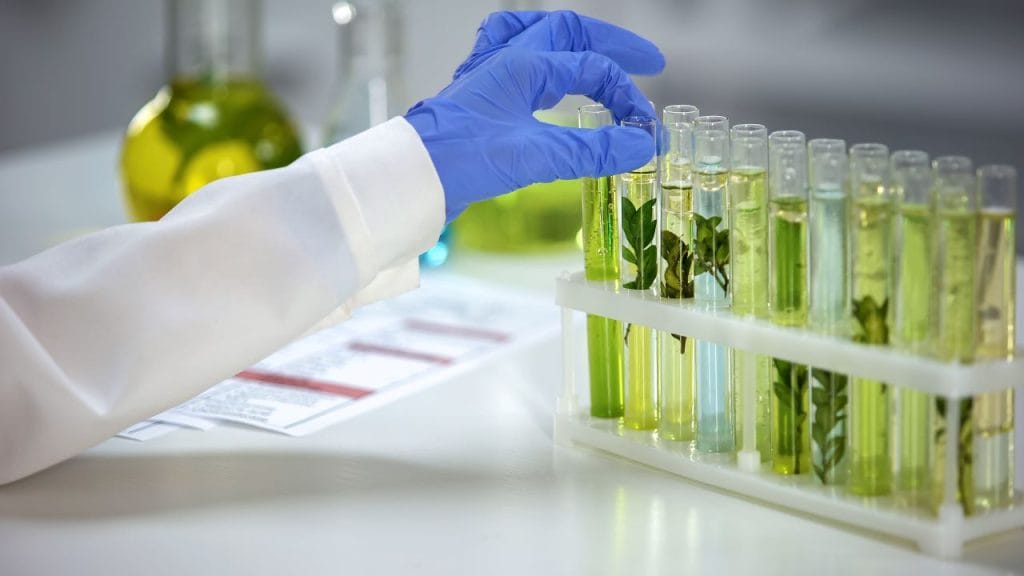 معلومات إضافية شركة كيان خدمات الزراعة المواد الزراعية