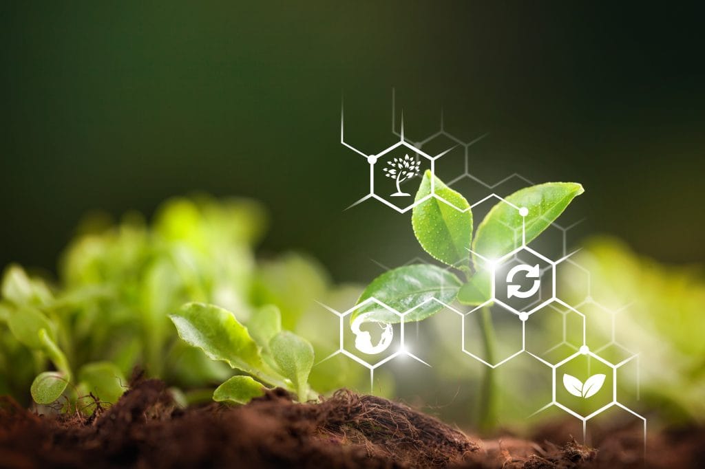 Completed Projects | Kian Agricultural and Landscaping Services Agriculture Landscape