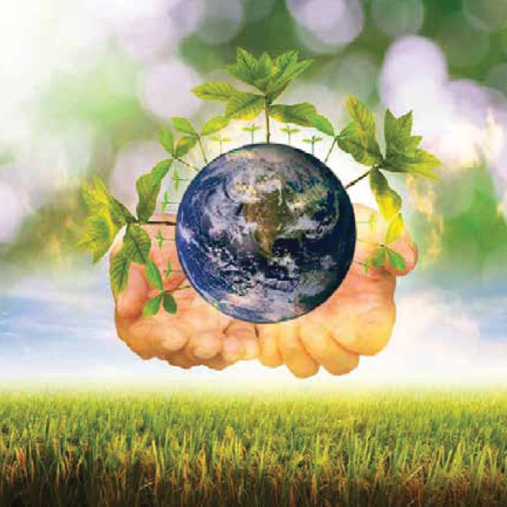 مشاريع الزراعة شركة كيان البيوت المحمية تطوير التربة