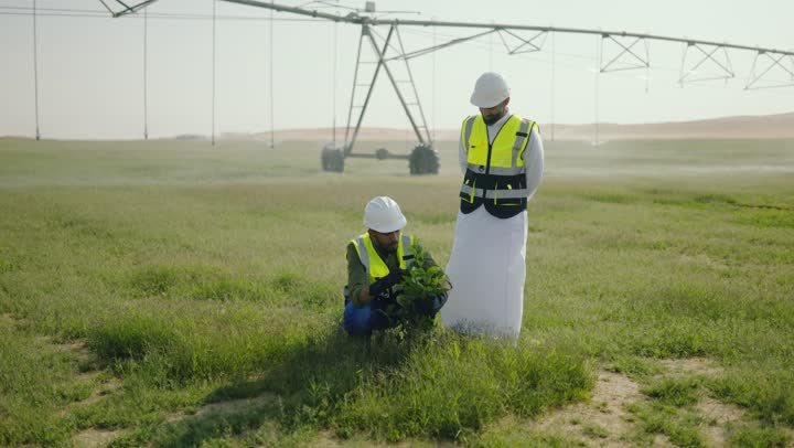 بوابة التوظيف شركة كيان الوطنية وظائف زراعية وظائف هندسية